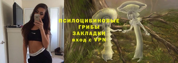 шишки Саяногорск