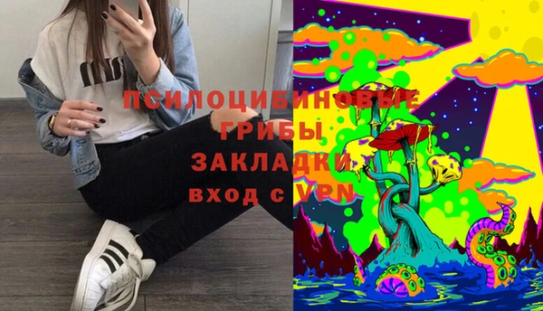 сатива Сатка