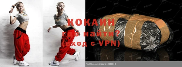 сатива Сатка
