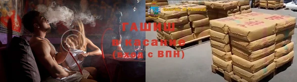 шишки Саяногорск