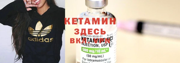 шишки Саяногорск