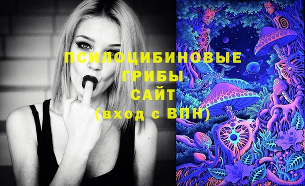 молекула духа Сафоново