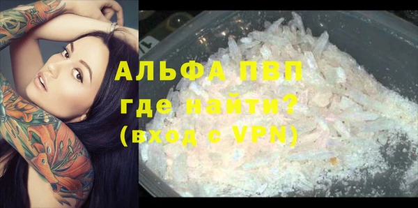 сатива Сатка