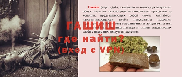 шишки Саяногорск