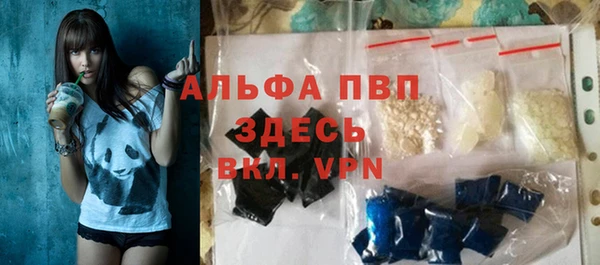 сатива Сатка
