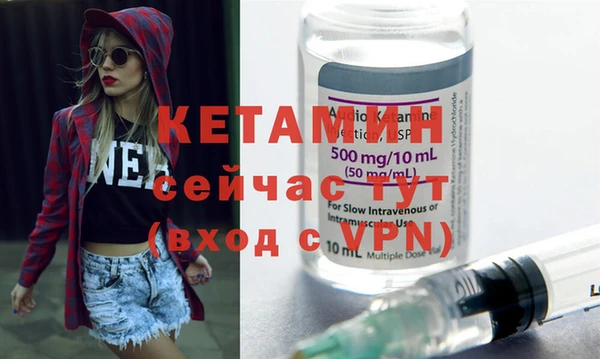шишки Саяногорск
