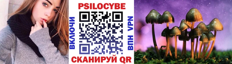 Купить  Семикаракорск  Галлюциногенные грибы Psilocybe 
