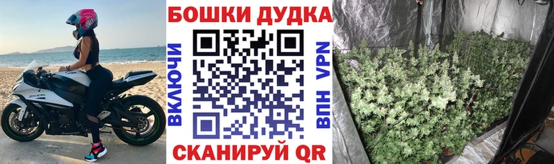 МАРИХУАНА ГИДРОПОН  Купить где  Семикаракорск 